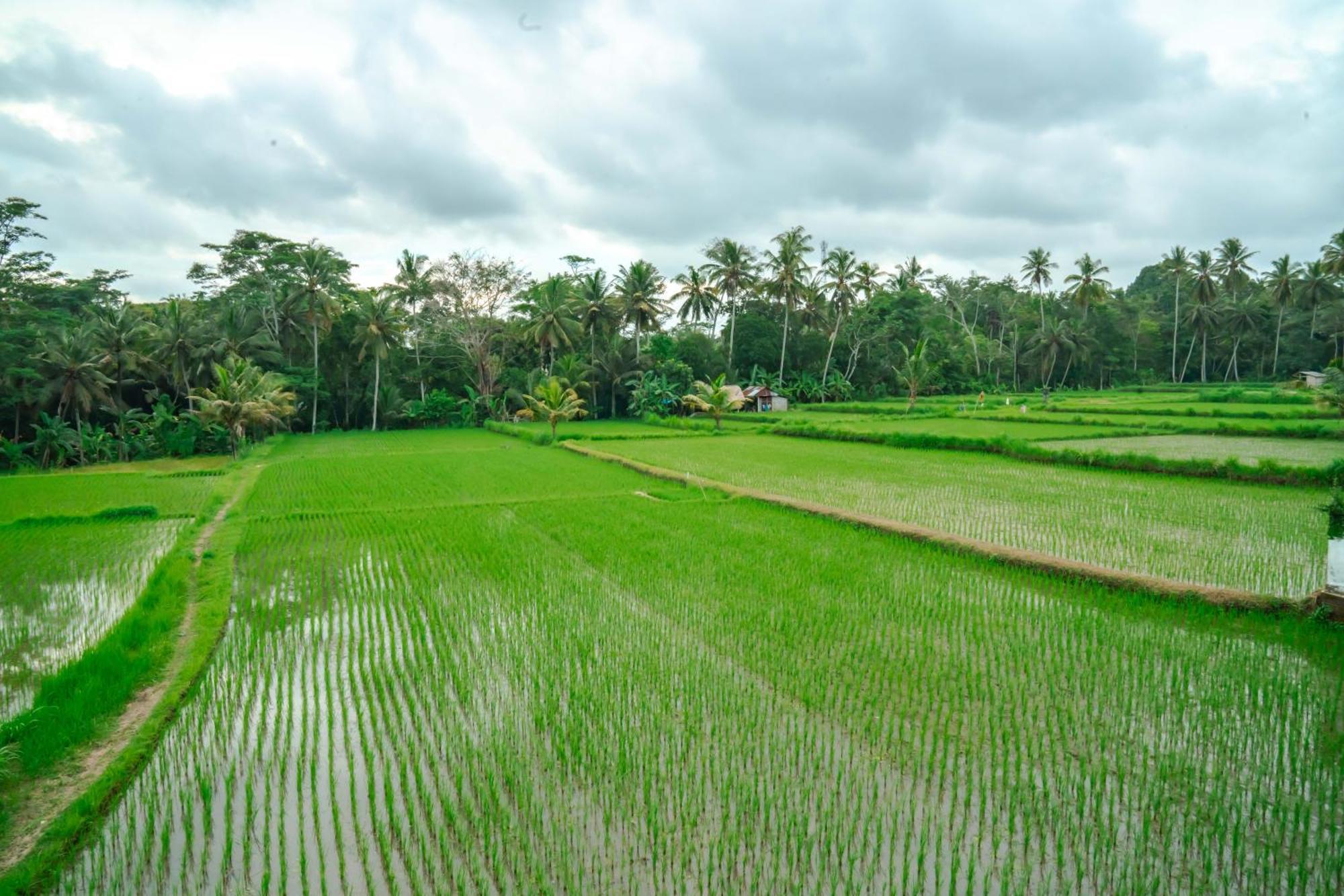 Tulus Hati Ubud Retreat Eksteriør bilde